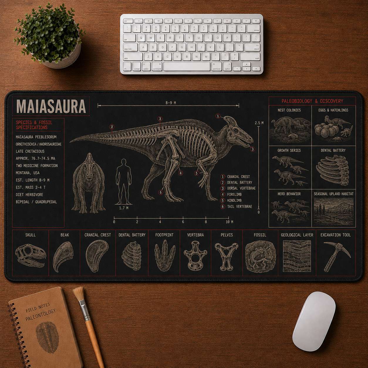 Maiasaura Dinosaur Blueprint Desk Mat | 5To9Vibe