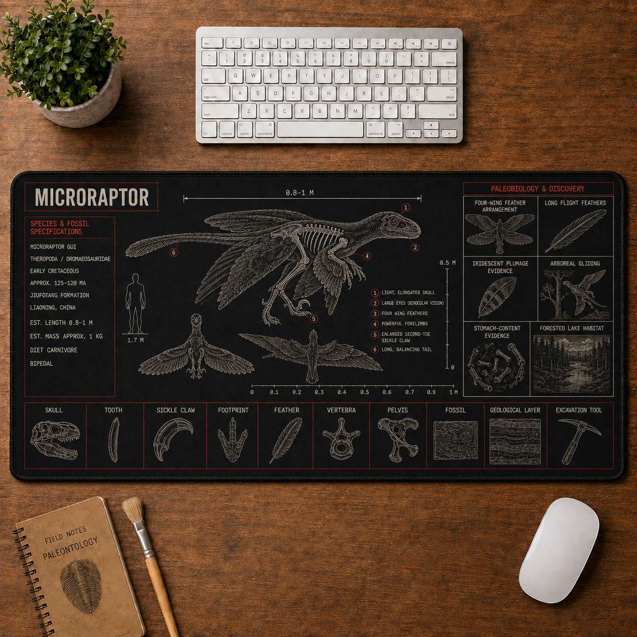 Microraptor Dinosaur Blueprint Desk Mat | 5To9Vibe
