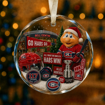 All Hockey Teams Christmas Glass Ornament With Gift Box Trending - 5to9vibe