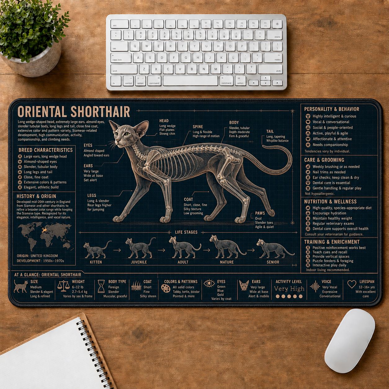 Oriental Shorthair Cat Breed Desk Mat Anatomy Guide | 5To9Vibe
