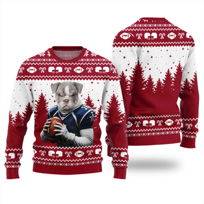 Personalized Funny Dog Christmas Sweater