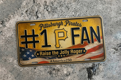 Baseball Car Plate Team Logo Fan America 250 Premium Car Plate
