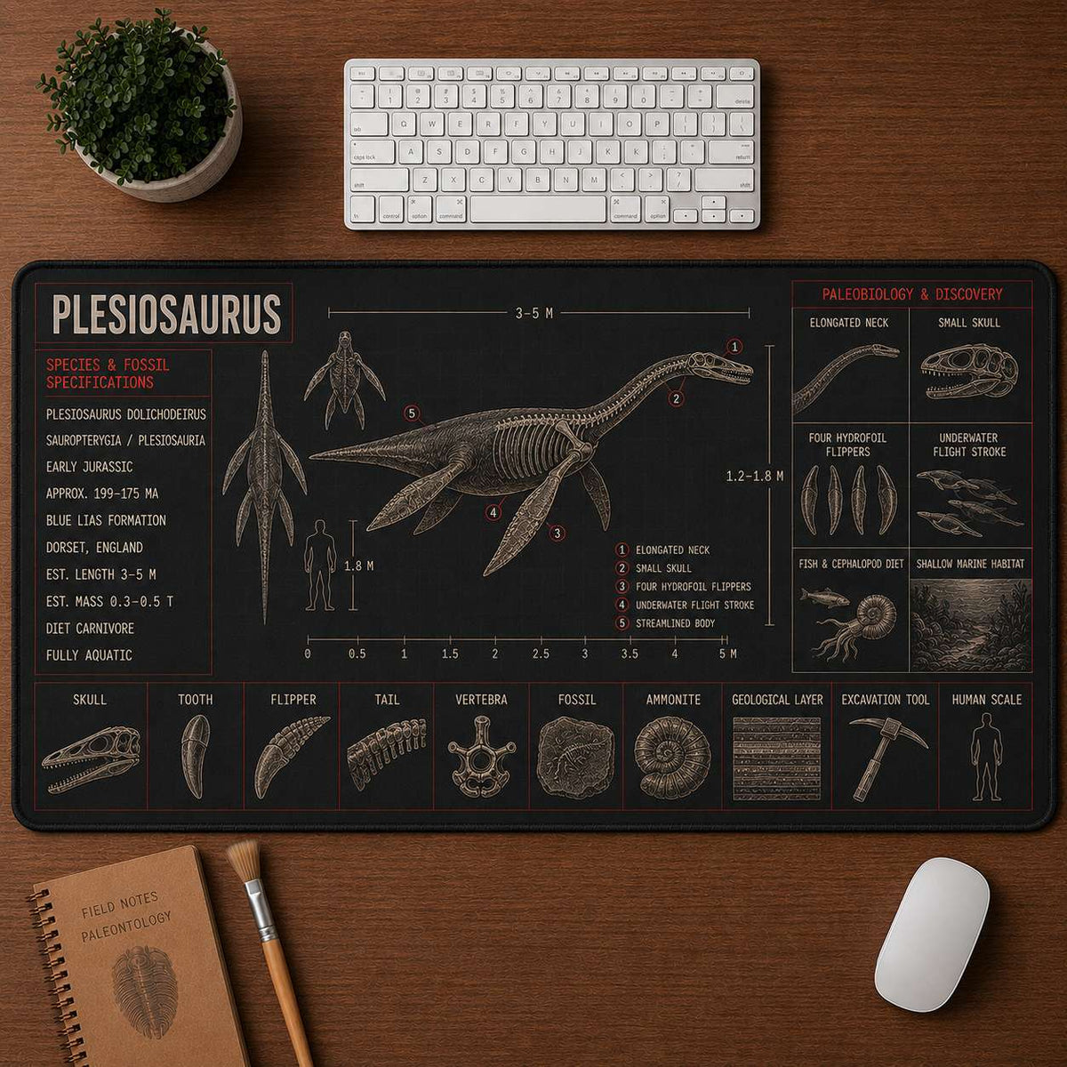 Plesiosaurus Marine Reptile Blueprint Desk Mat | 5To9Vibe