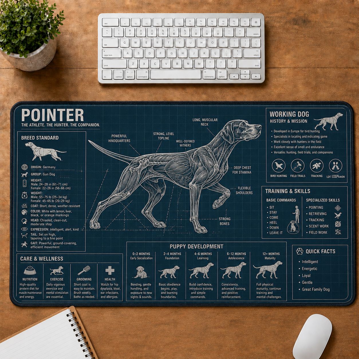 Pointer Dog Breed Visual Guide Desk Mat | 5To9Vibe