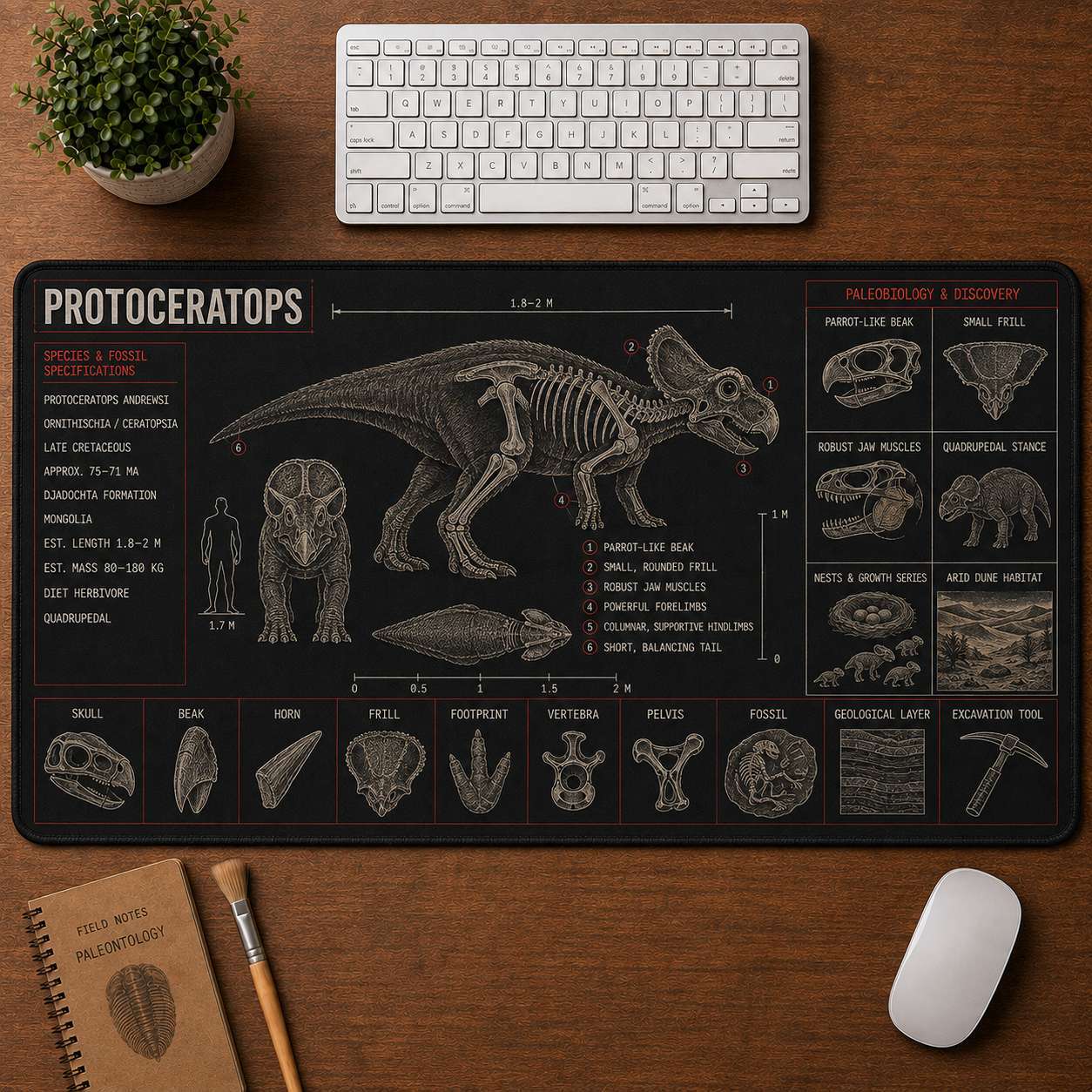 Protoceratops Dinosaur Blueprint Desk Mat | 5To9Vibe
