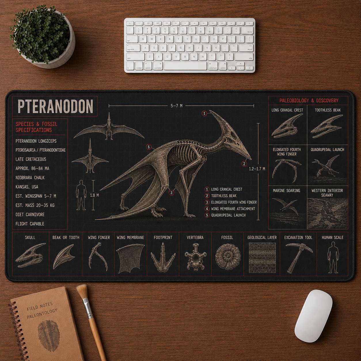 Pteranodon Pterosaur Blueprint Desk Mat | 5To9Vibe