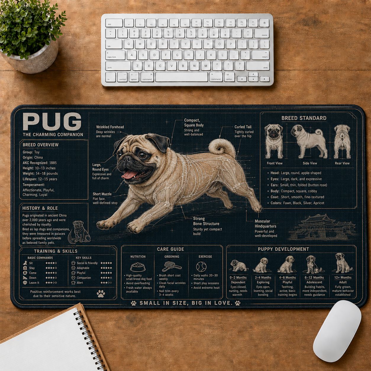 Pug Dog Breed Visual Guide Desk Mat | 5To9Vibe