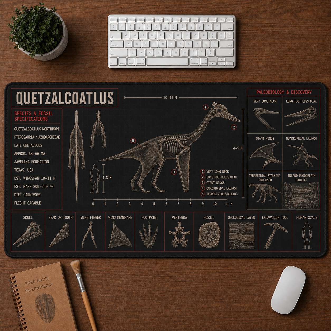 Quetzalcoatlus Pterosaur Blueprint Desk Mat | 5To9Vibe