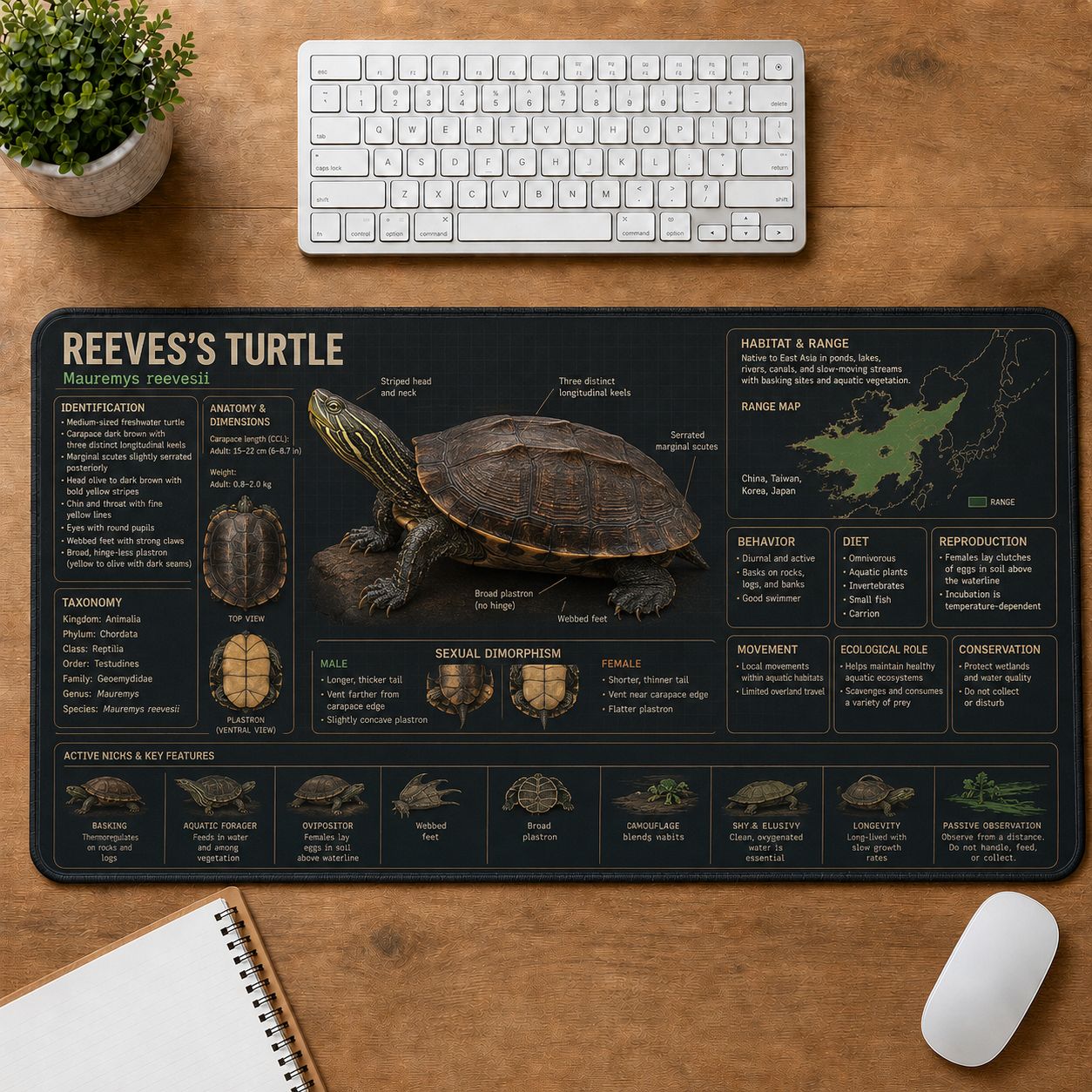 Reeves Turtle Turtle and Tortoise Species Guide Desk Mat | 5To9Vibe