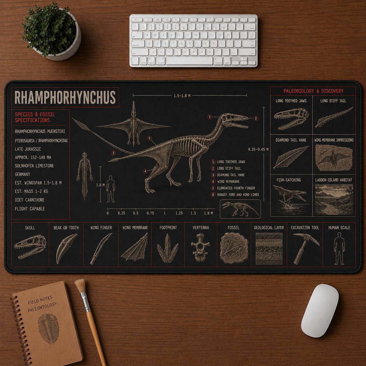 Rhamphorhynchus Pterosaur Blueprint Desk Mat | 5To9Vibe