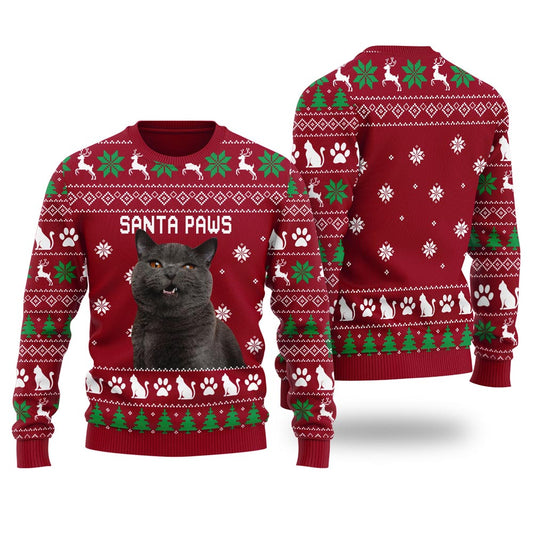 Santa Paws Custom Cat Ugly Christmas Sweater Women's