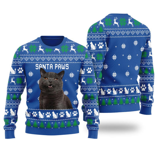 Santa Paws Custom Cat Christmas Sweater For Men