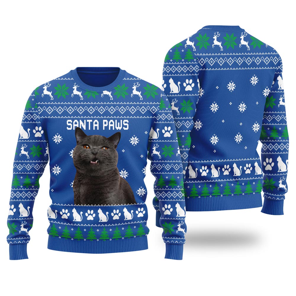 Santa Paws Personalized Cat Christmas Sweater