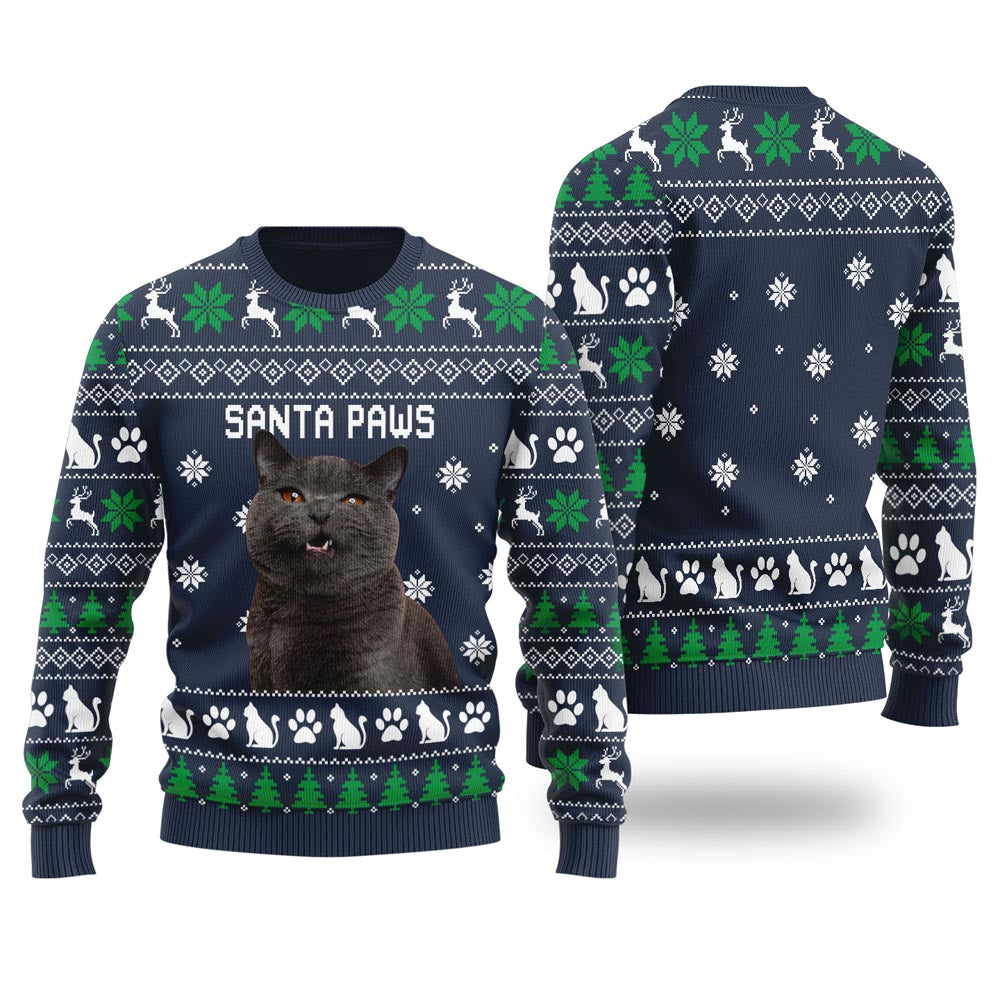 Santa Paws Custom Cat Christmas Sweater For Men