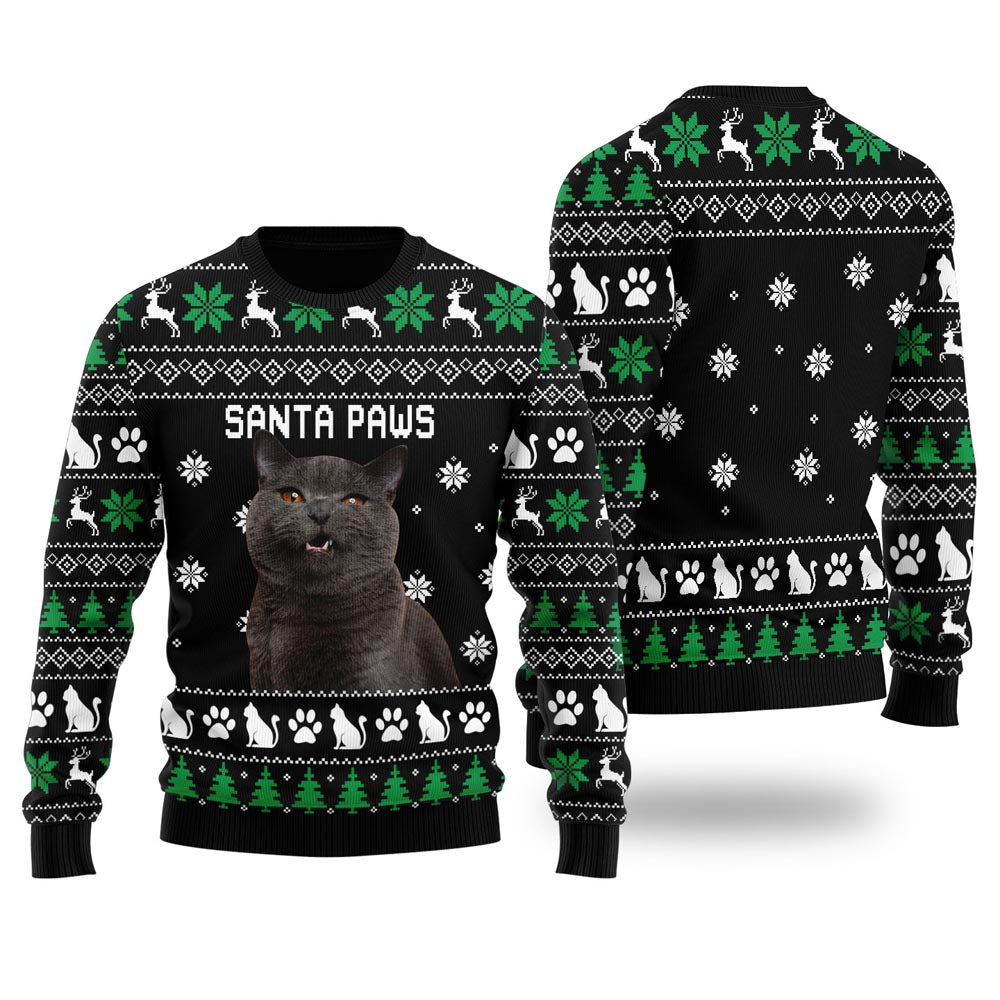Santa Paws Personalized Cat Christmas Sweater