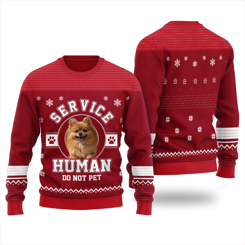 Service Human Do Not Pet Custom Dog Christmas Sweater