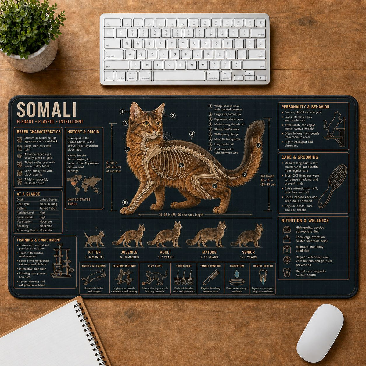 Somali Cat Breed Desk Mat Anatomy Guide | 5To9Vibe
