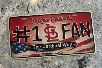 Baseball Car Plate Team Logo Fan America 250 Premium Car Plate