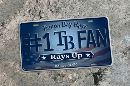 Baseball Car Plate Team Logo Fan America 250 Premium Car Plate