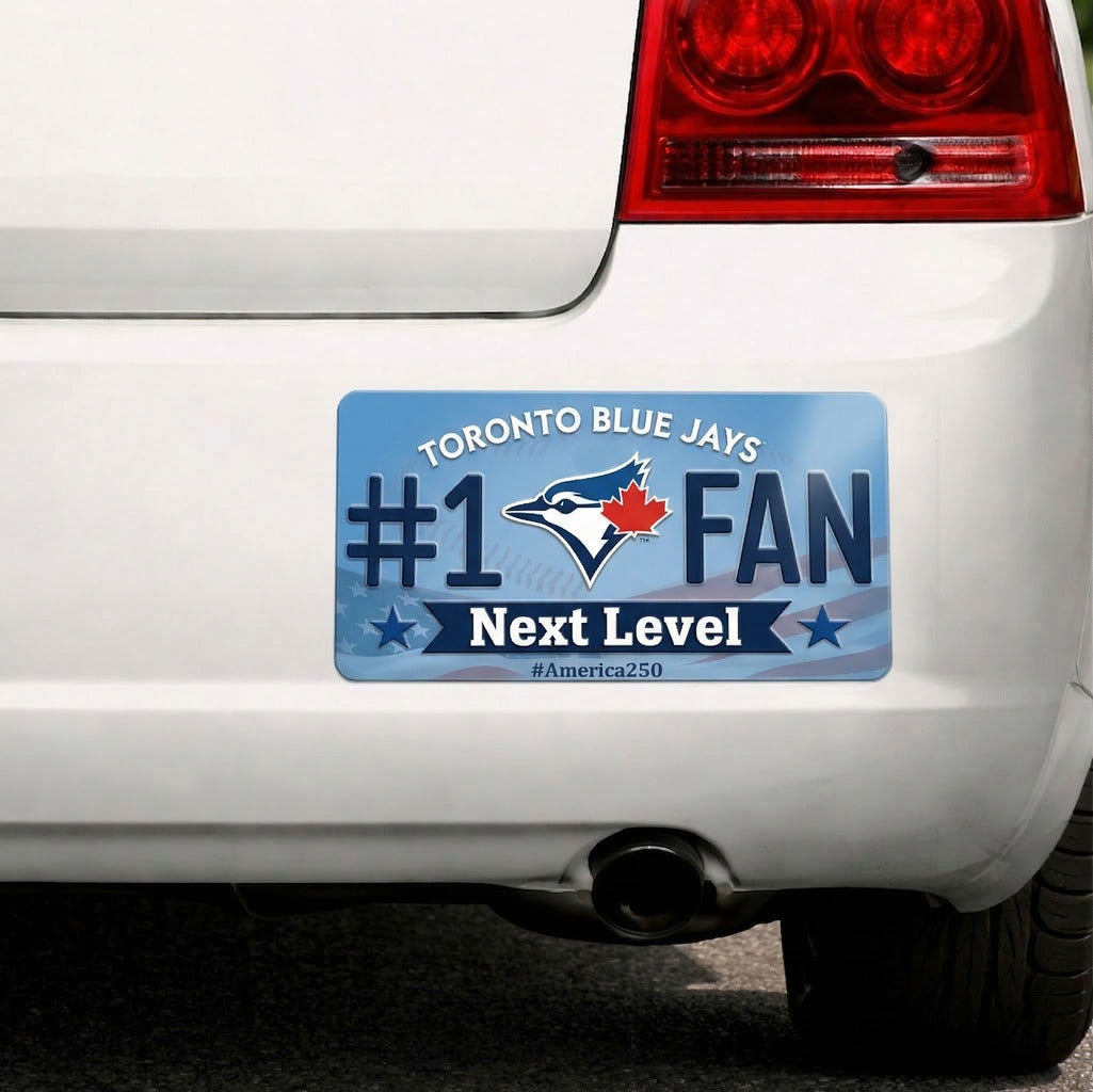 Waterproof Vinyl Car Sticker Baseball Team Logo #1 Fan America 250