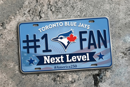 Baseball Car Plate Team Logo Fan America 250 Premium Car Plate