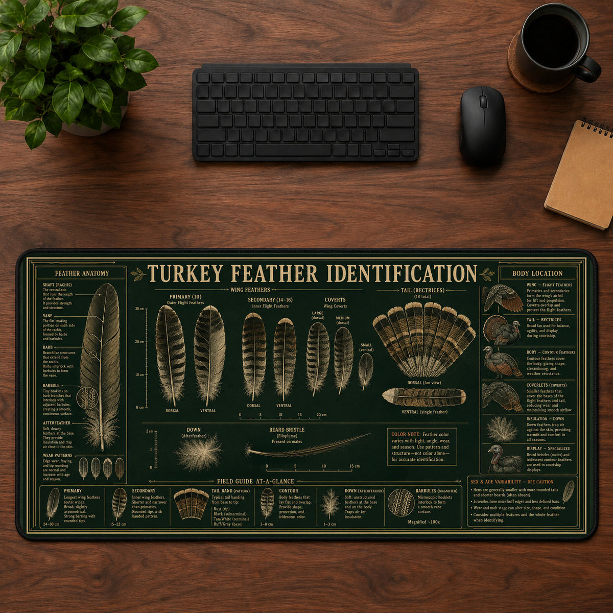 Turkey Feather Identification Desk Mat Mouse Pad | 5To9Vibe
