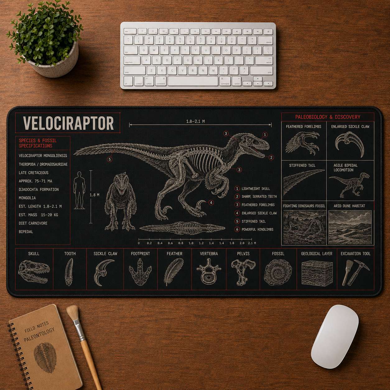 Velociraptor Dinosaur Blueprint Desk Mat | 5To9Vibe