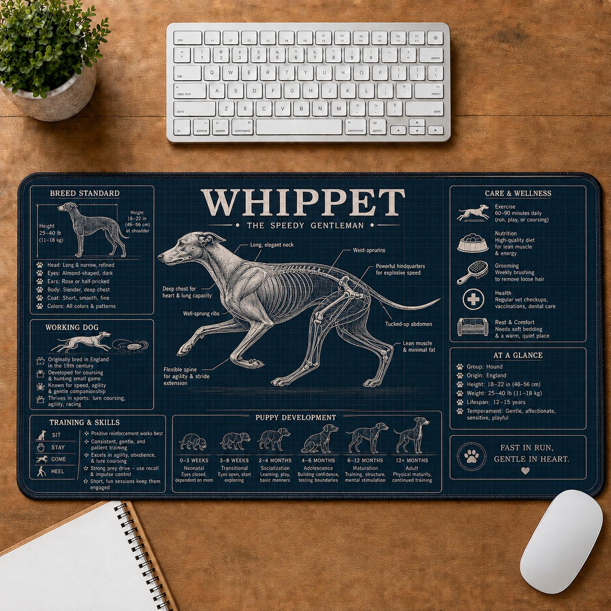 Whippet Dog Breed Visual Guide Desk Mat | 5To9Vibe