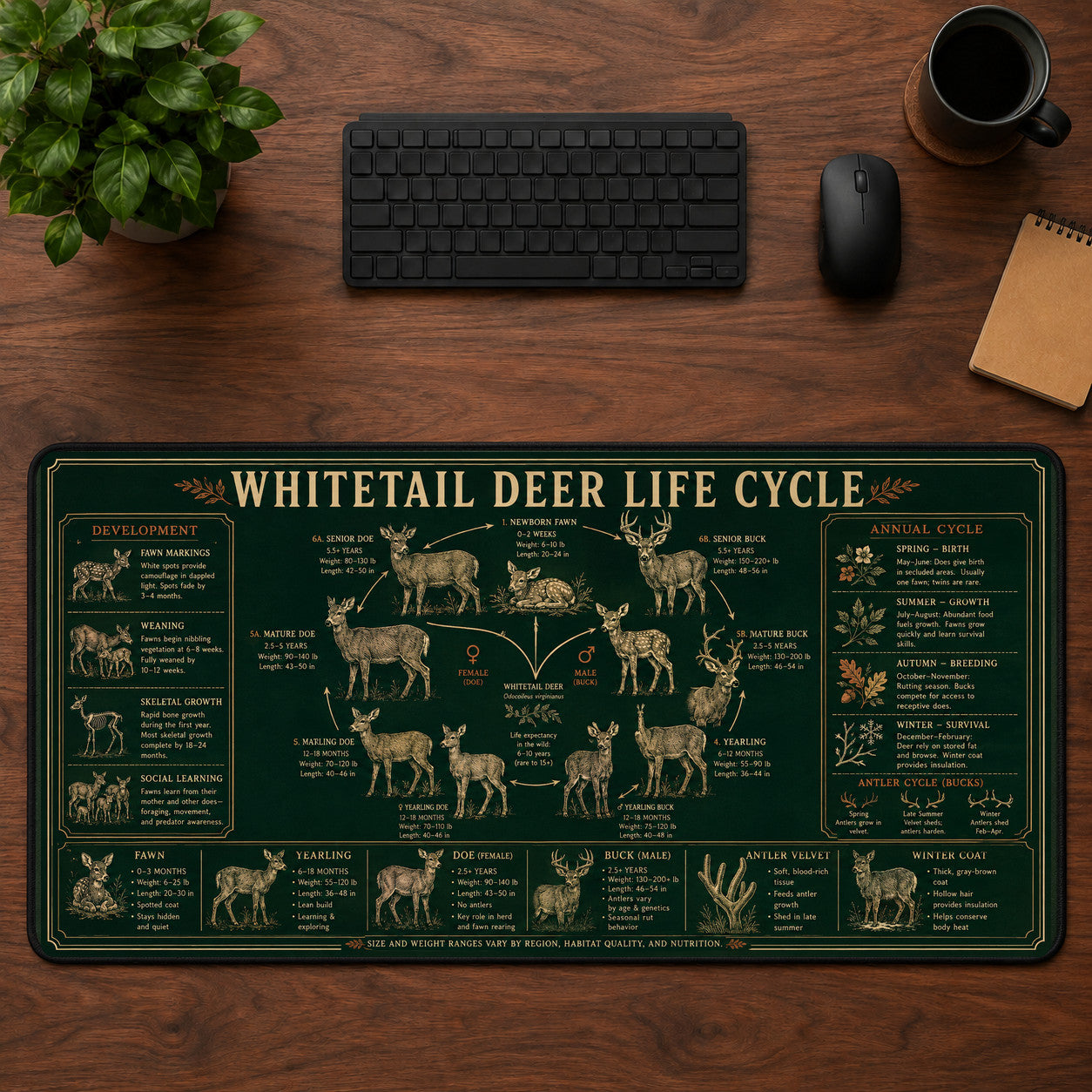 Whitetail Deer Life Cycle Desk Mat Mouse Pad | 5To9Vibe