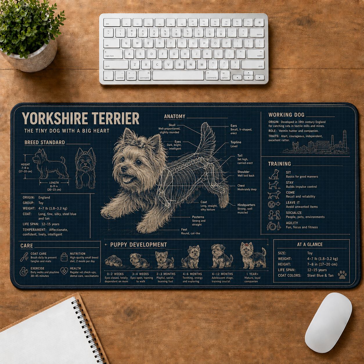 Yorkshire Terrier Dog Breed Visual Guide Desk Mat | 5To9Vibe
