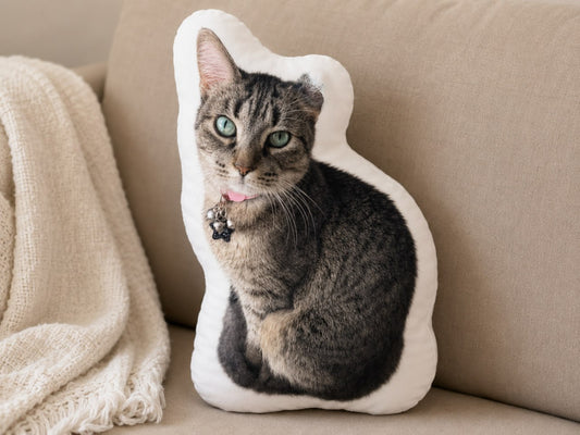 Cat Custom Irregular-Shaped Pillow-Shaped Pillow-5TO9VIBE